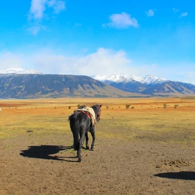 Lago Argentino à cheval