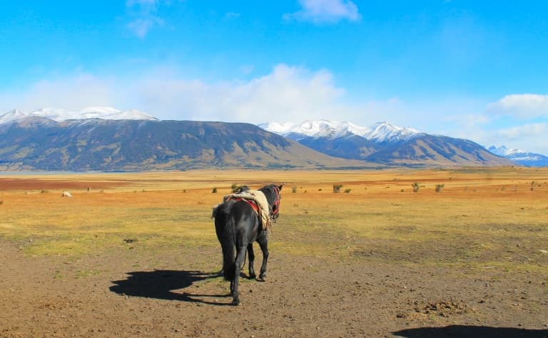 Lago Argentino à cheval