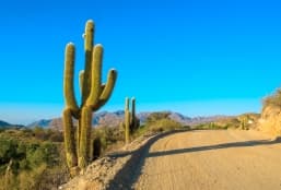 Immersion aux confins des andes argentines